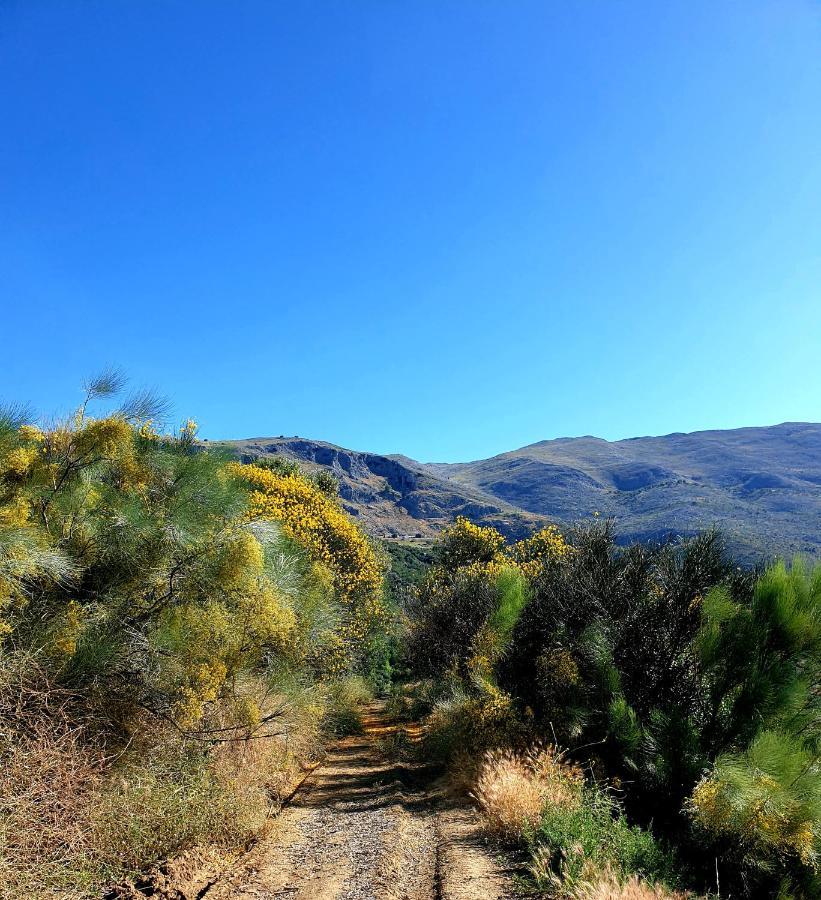 מלון Periana One Life Malaga Retreat מראה חיצוני תמונה