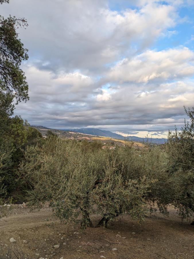 מלון Periana One Life Malaga Retreat מראה חיצוני תמונה